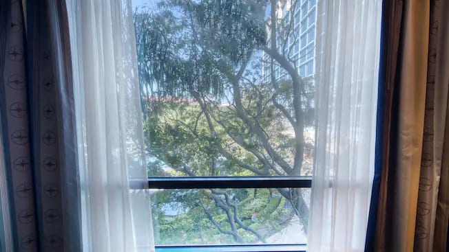 Disneyland Hotel - Deluxe View